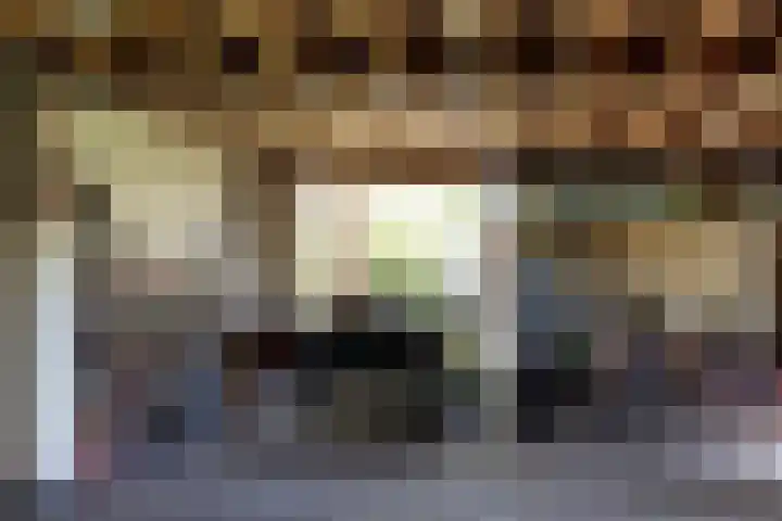 Schapendrift 25 Elspeet thumbnail 46