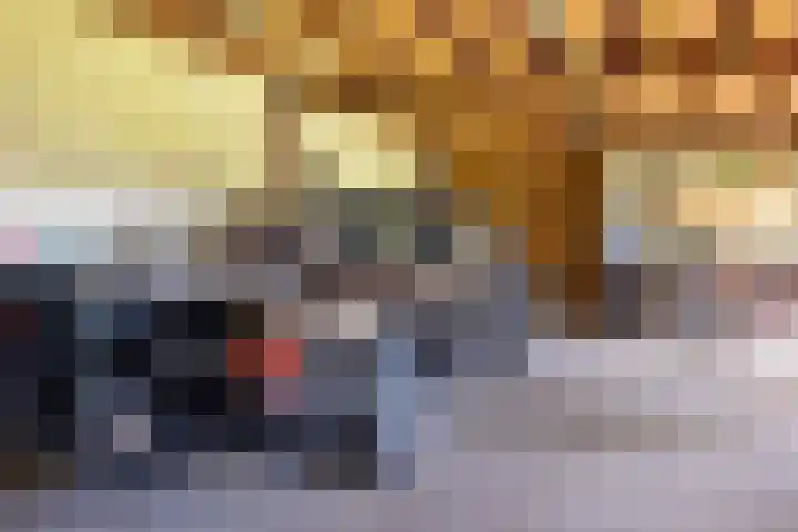 Schapendrift 25 Elspeet thumbnail 47