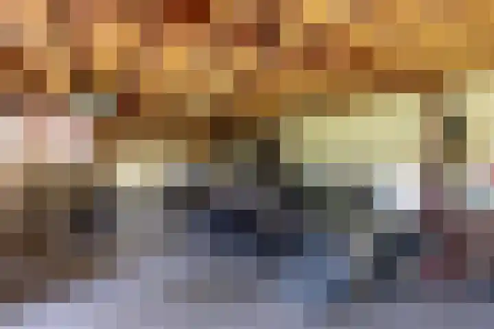 Schapendrift 25 Elspeet thumbnail 48