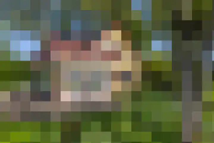 Schapendrift 25 Elspeet thumbnail 5