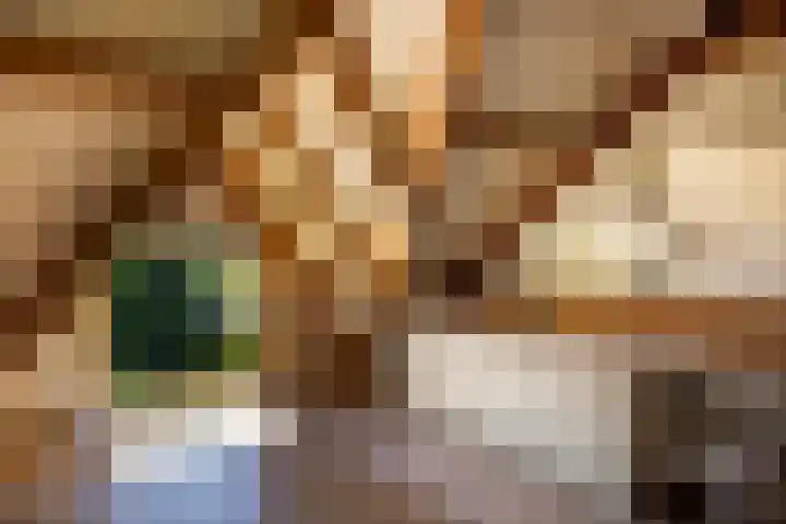 Schapendrift 25 Elspeet thumbnail 50