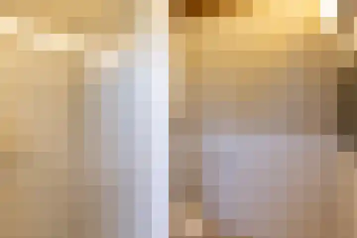 Schapendrift 25 Elspeet thumbnail 52
