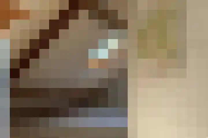 Schapendrift 25 Elspeet thumbnail 53