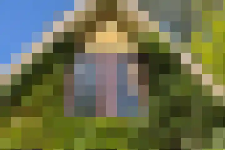 Schapendrift 25 Elspeet thumbnail 55
