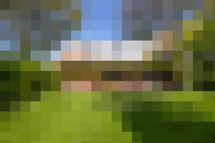 Schapendrift 25 Elspeet thumbnail 56