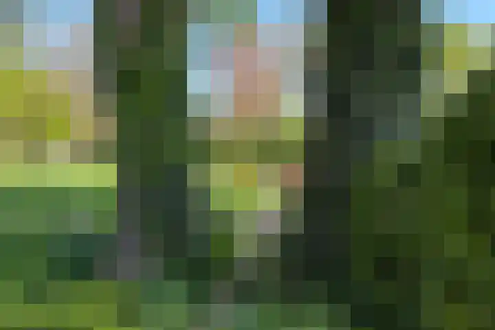 Schapendrift 25 Elspeet thumbnail 58