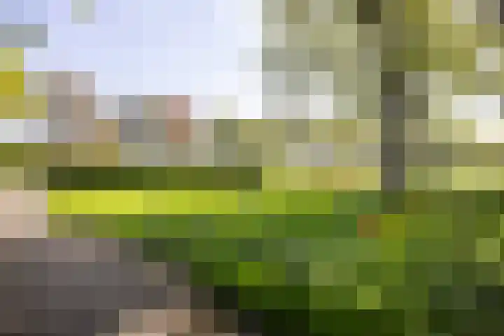 Schapendrift 25 Elspeet thumbnail 61