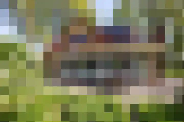 Schapendrift 25 Elspeet thumbnail 65