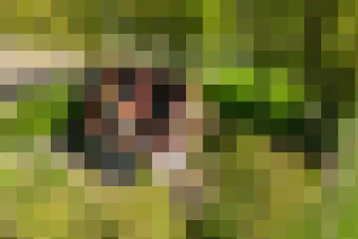 Schapendrift 25 Elspeet thumbnail 66
