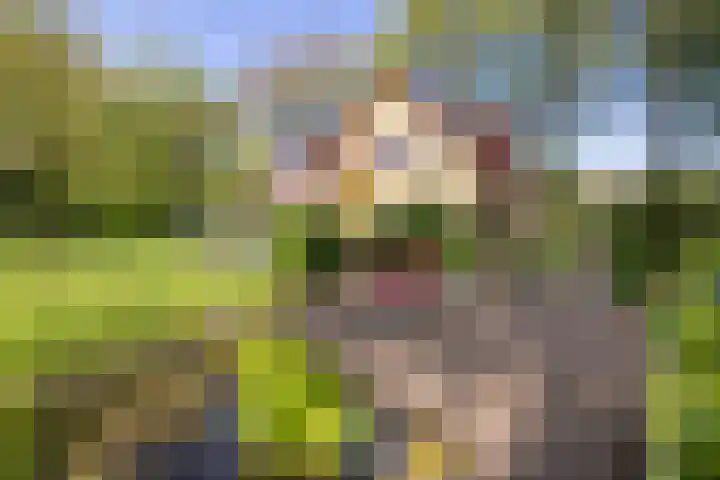 Schapendrift 25 Elspeet thumbnail 67