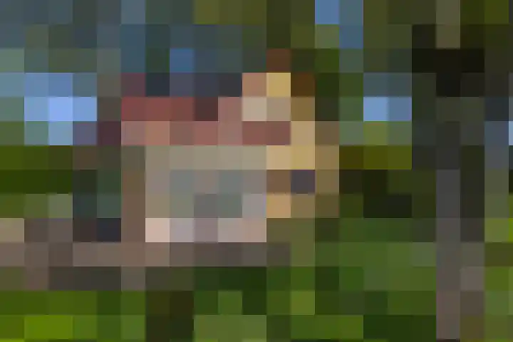 Schapendrift 25 Elspeet thumbnail 69