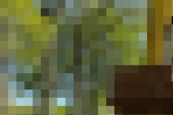 Schapendrift 25 Elspeet thumbnail 70