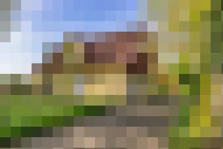 Schapendrift 25 Elspeet thumbnail 71