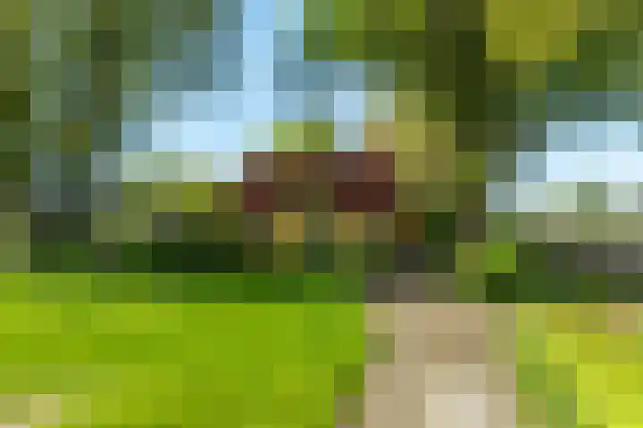 Schapendrift 25 Elspeet thumbnail 72