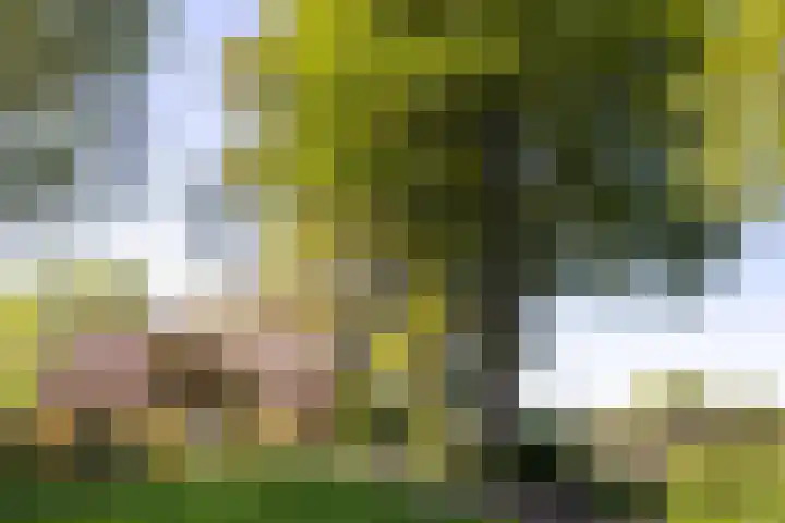 Schapendrift 25 Elspeet thumbnail 73