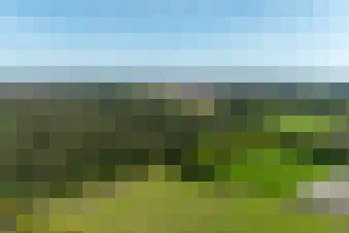 Schapendrift 25 Elspeet thumbnail 79