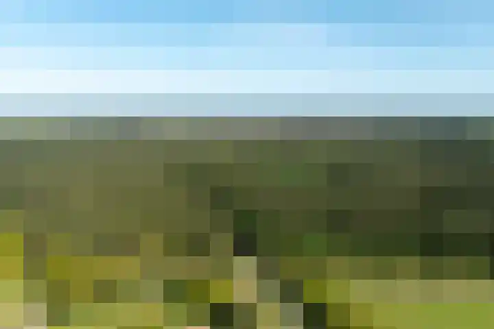 Schapendrift 25 Elspeet thumbnail 80