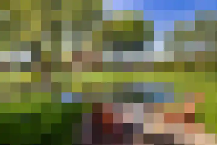 Schapendrift 25 Elspeet thumbnail 81
