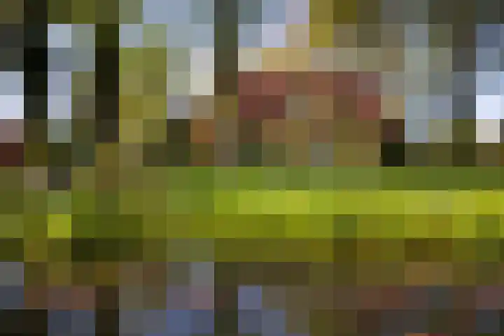 Schapendrift 25 Elspeet thumbnail 9