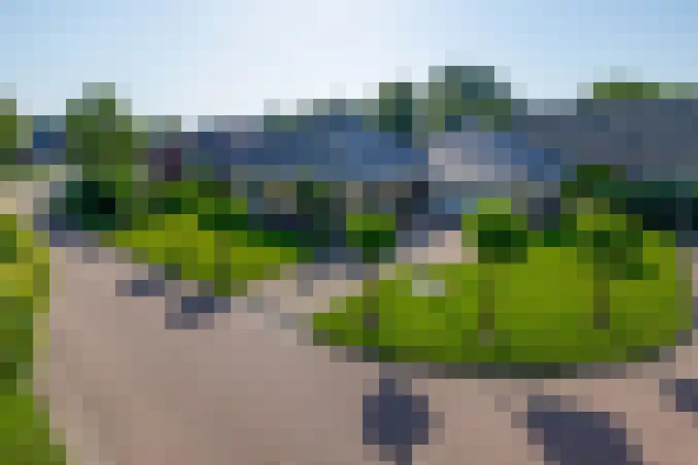 Schapendrift 3 Mussel thumbnail 12