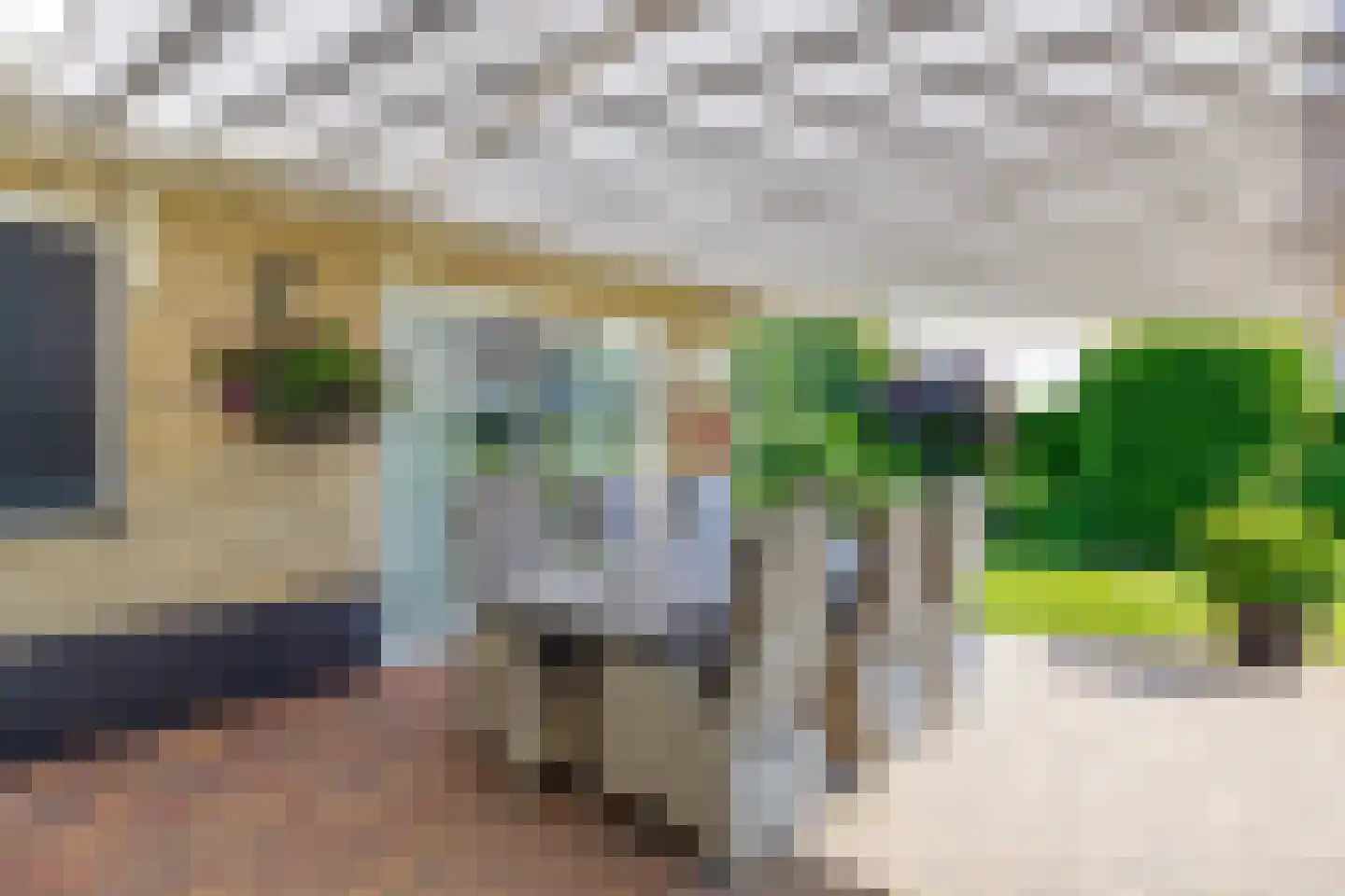 Schapendrift 3 Mussel thumbnail 47