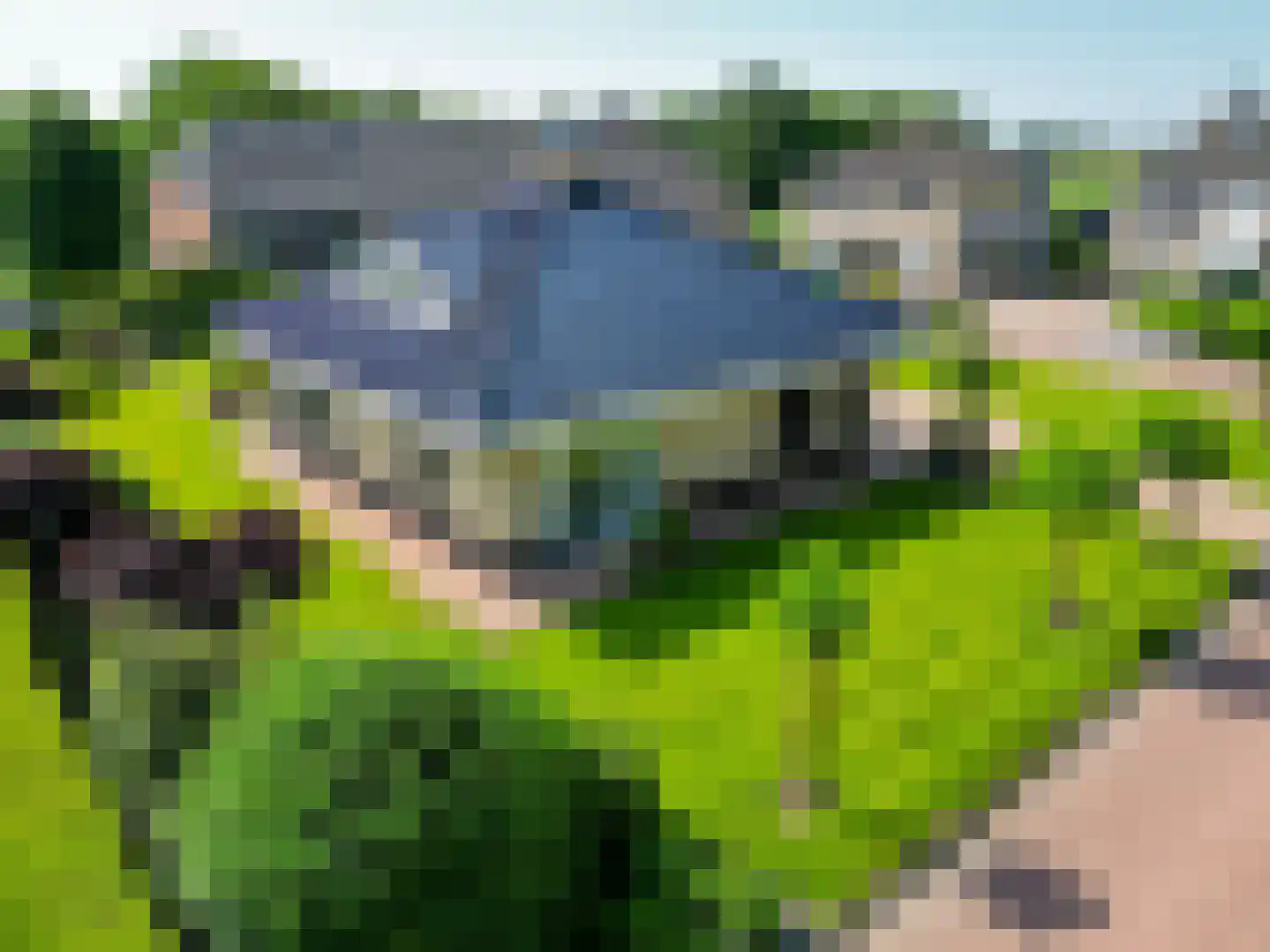 Schapendrift 3 Mussel thumbnail 53
