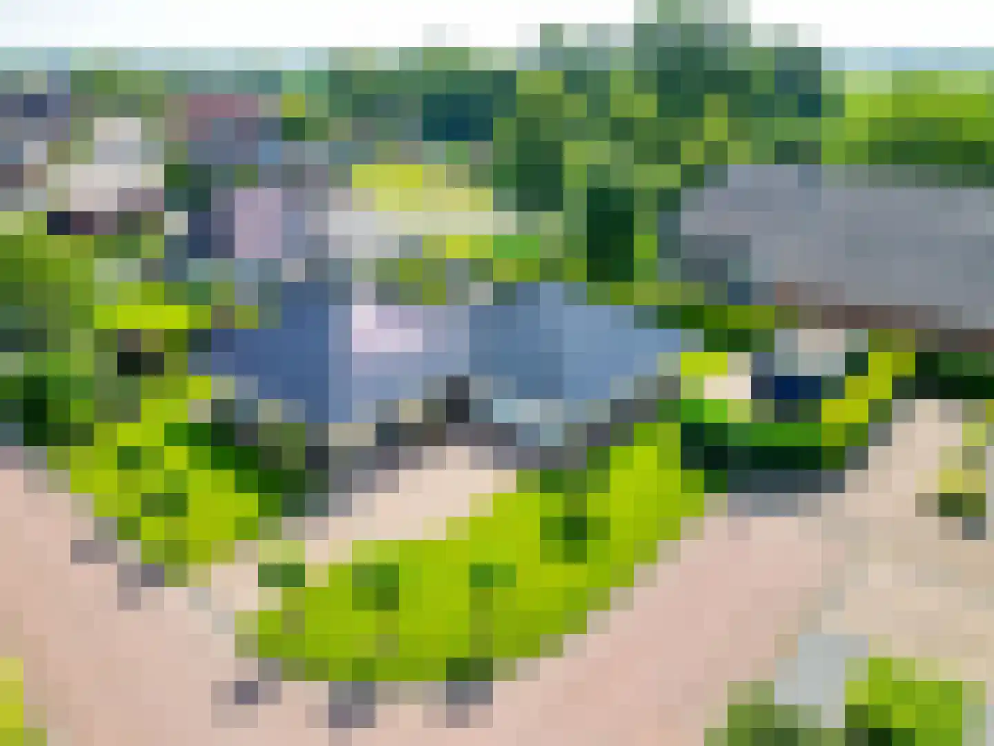 Schapendrift 3 Mussel thumbnail 56