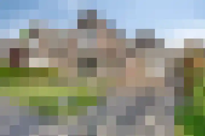Schapendrift 3 Vledder