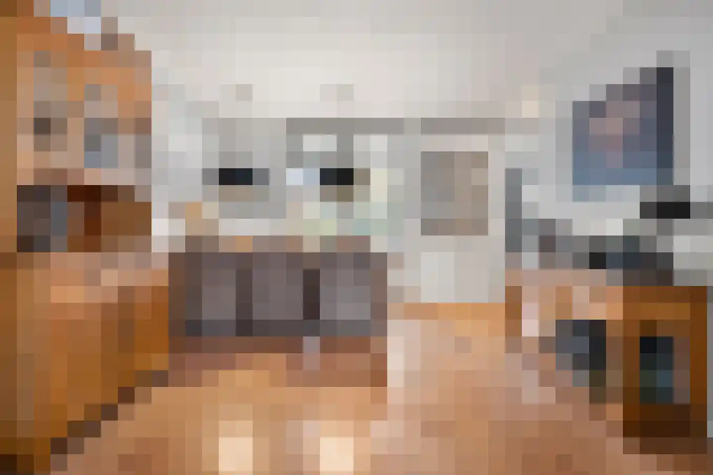 Schapendrift 30 Barneveld thumbnail 10
