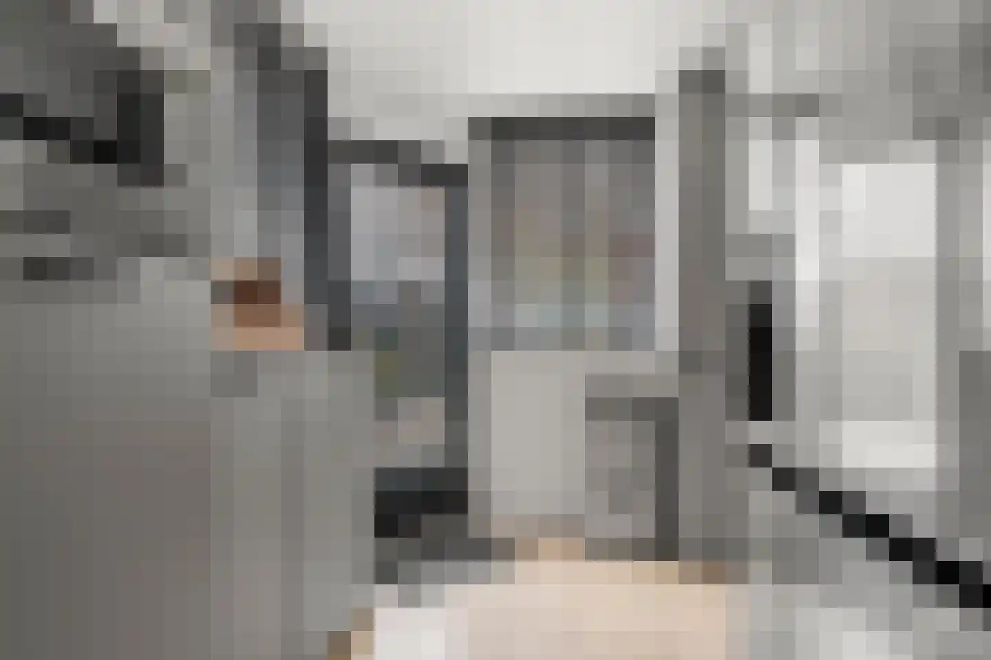 Schapendrift 30 Barneveld thumbnail 17