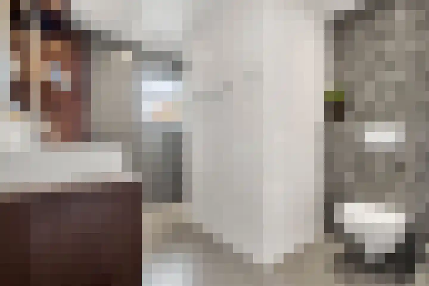 Schapendrift 30 Barneveld thumbnail 21