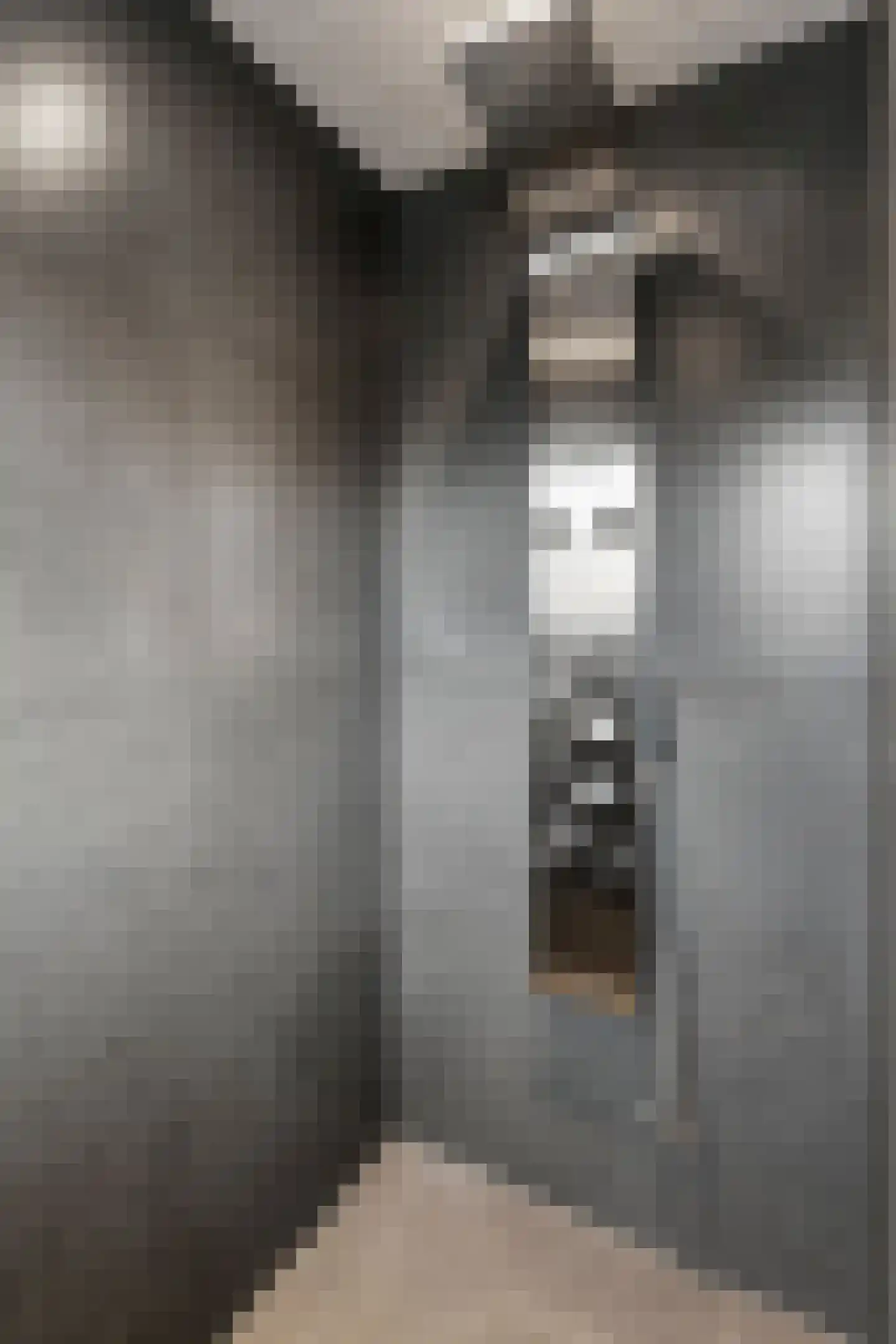 Schapendrift 30 Barneveld thumbnail 23