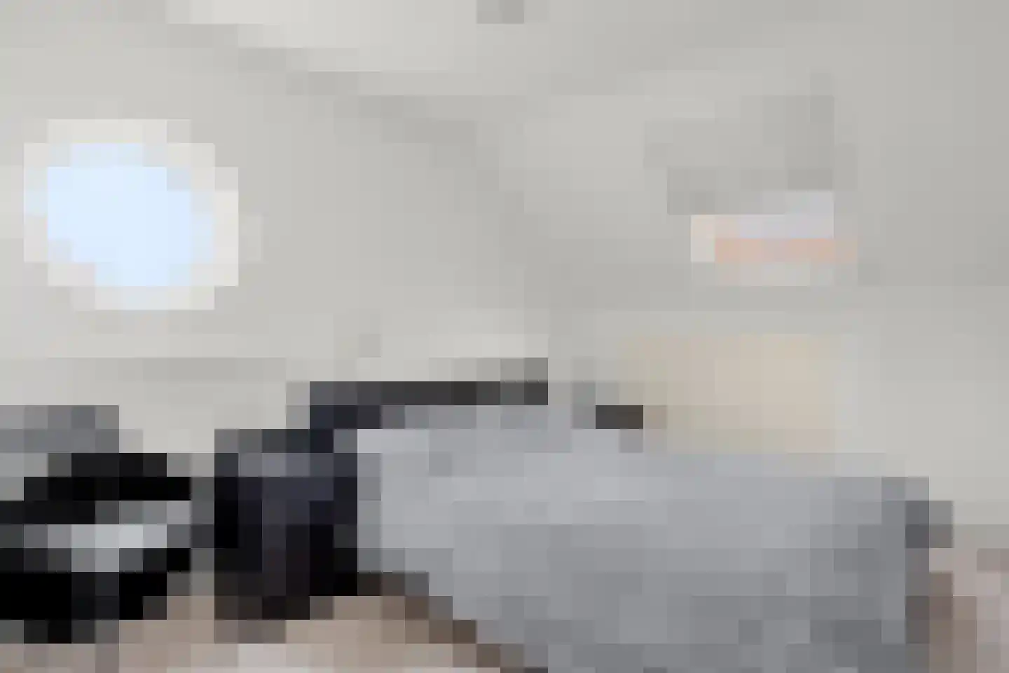 Schapendrift 30 Barneveld thumbnail 33