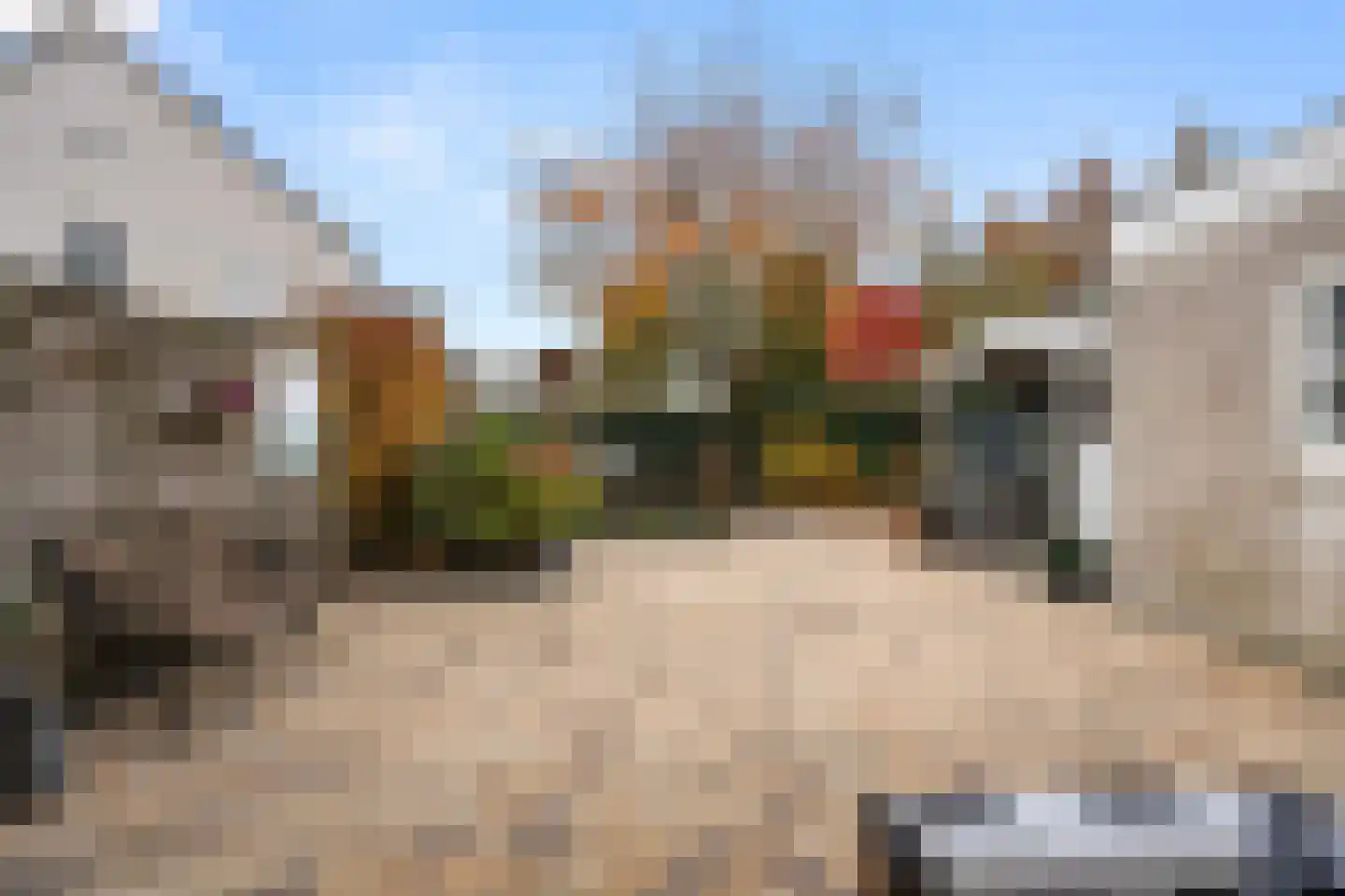 Schapendrift 30 Barneveld thumbnail 37