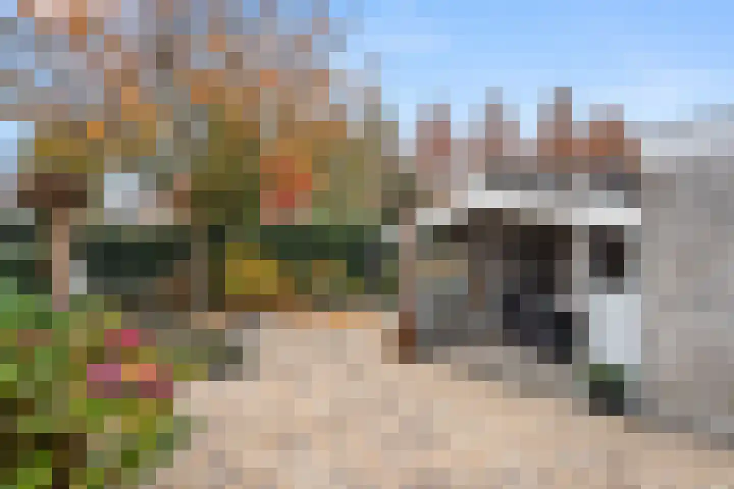 Schapendrift 30 Barneveld thumbnail 38