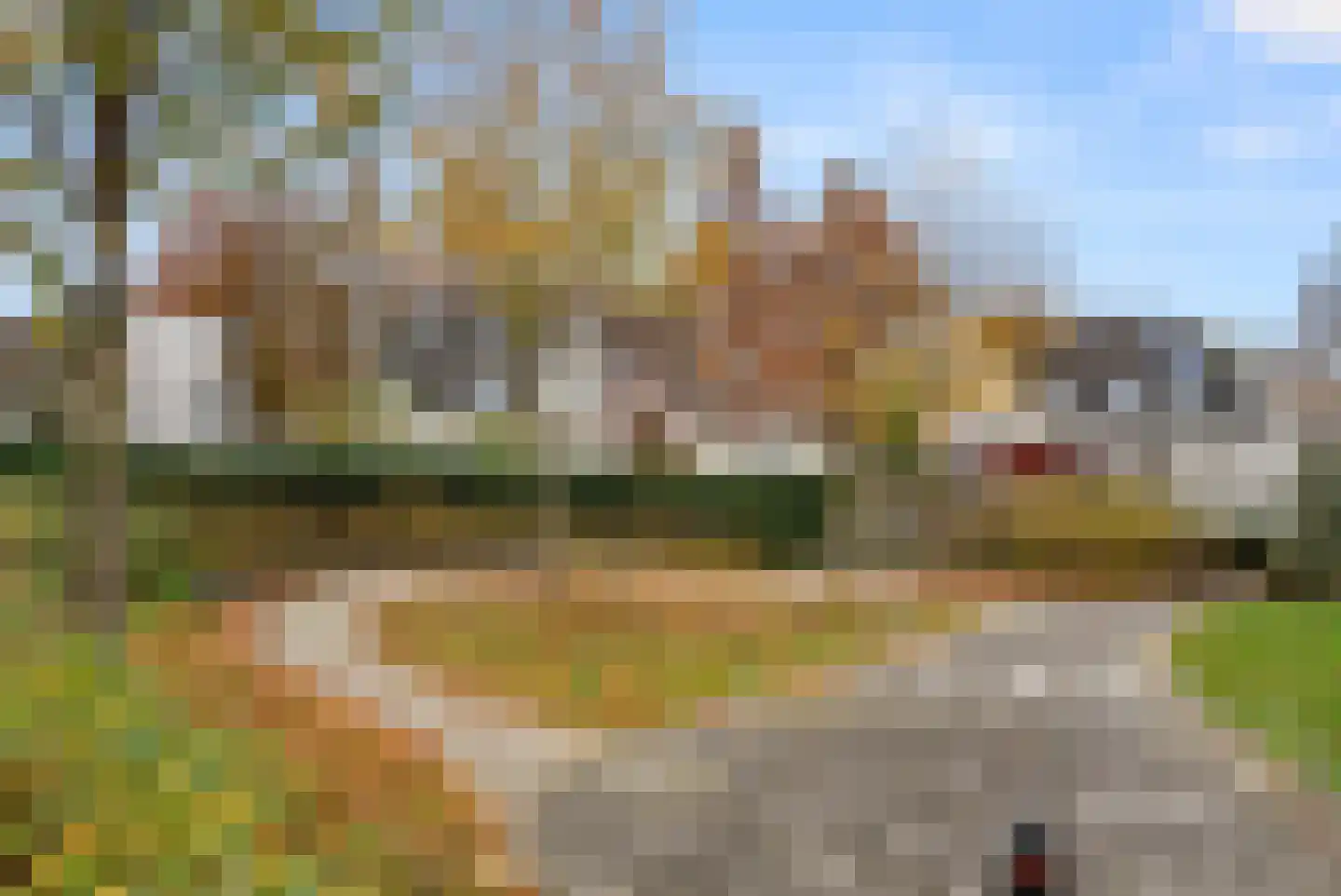 Schapendrift 30 Barneveld thumbnail 47