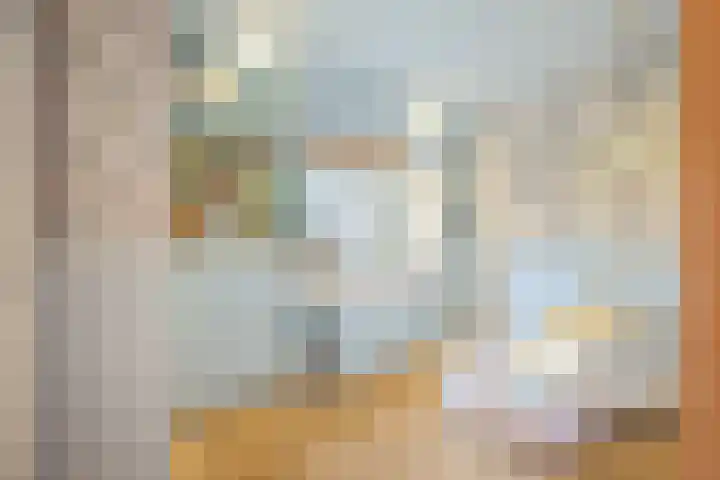 Schapendrift 36 Laren thumbnail 12