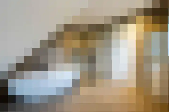 Schapendrift 36 Laren thumbnail 20