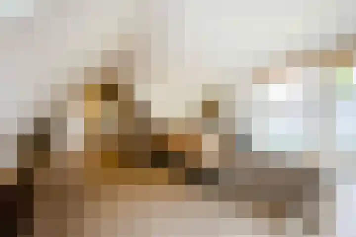 Schapendrift 36 Laren thumbnail 21