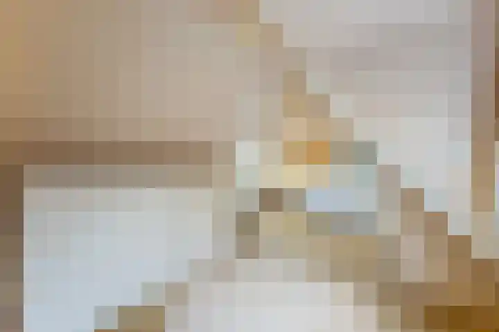 Schapendrift 36 Laren thumbnail 22