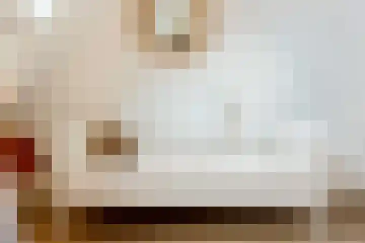 Schapendrift 36 Laren thumbnail 33