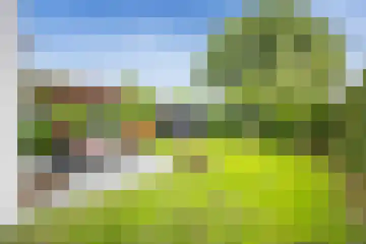 Schapendrift 36 Laren thumbnail 34