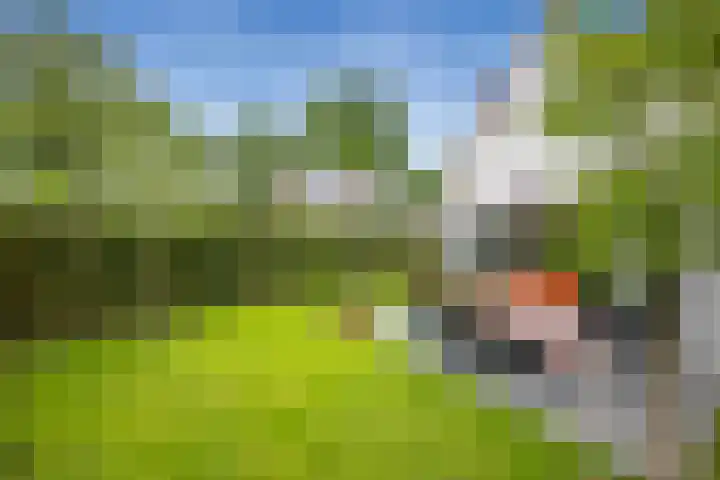 Schapendrift 36 Laren thumbnail 35
