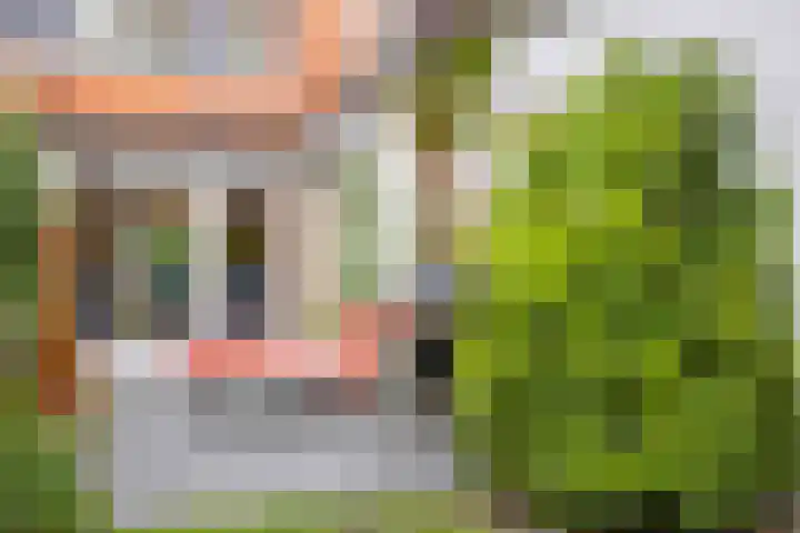 Schapendrift 36 Laren thumbnail 36