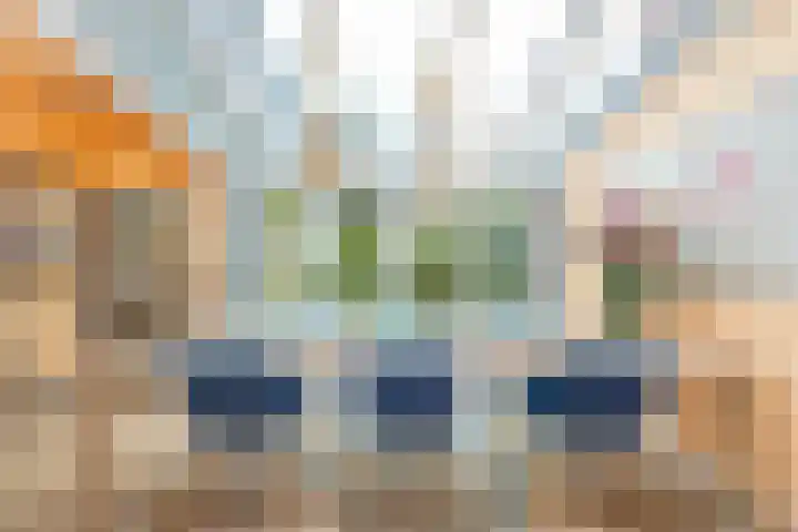 Schapendrift 36 Laren thumbnail 8