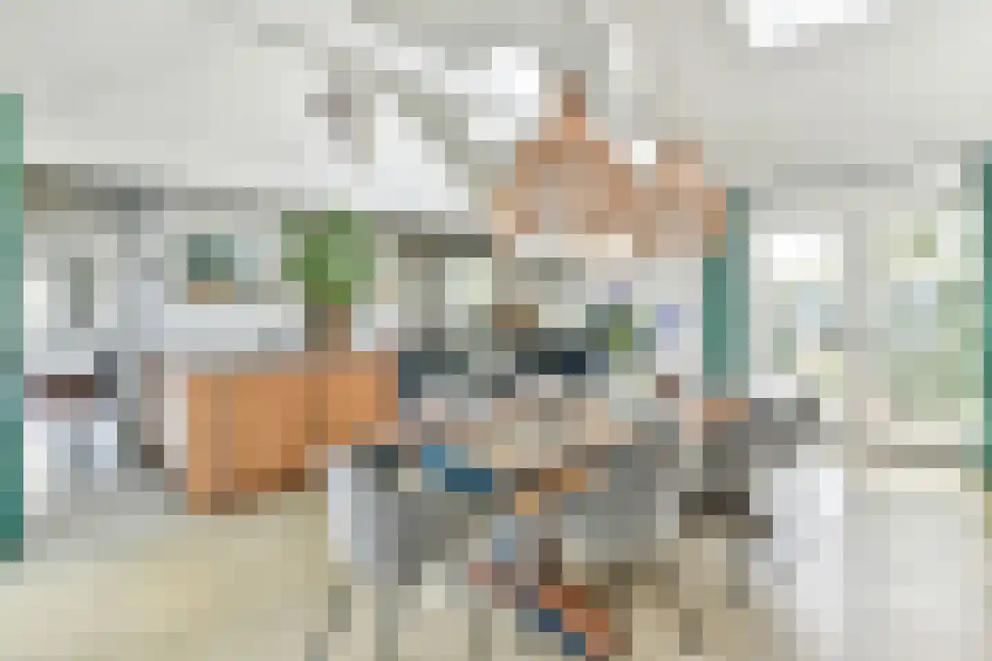 Schapendrift 40 Laren thumbnail 10