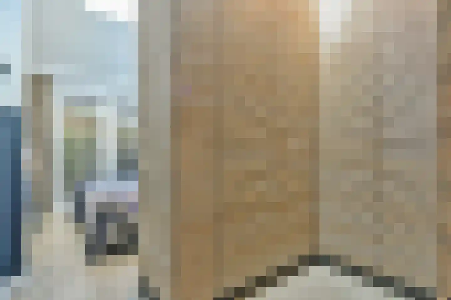 Schapendrift 40 Laren thumbnail 17