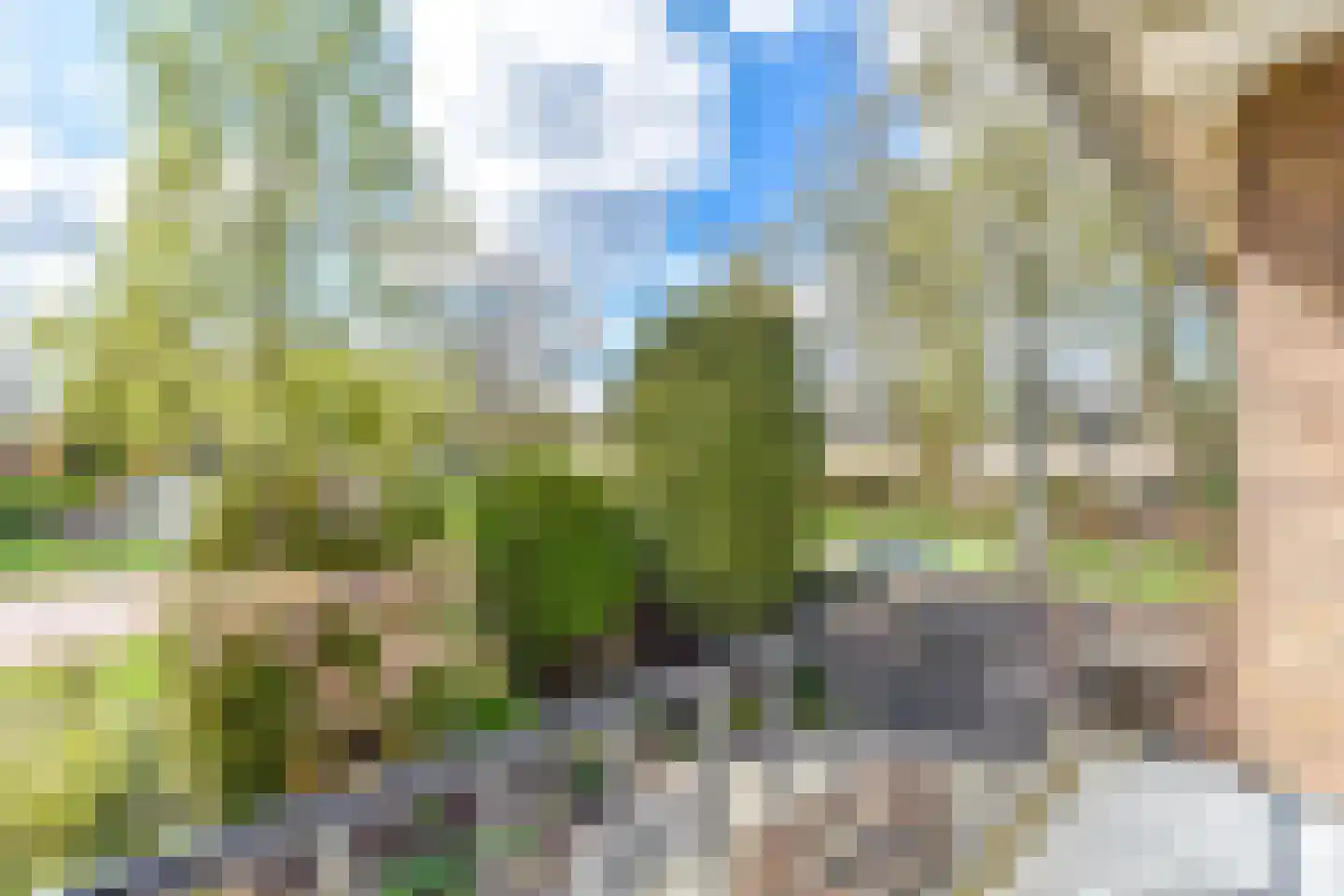 Schapendrift 40 Laren thumbnail 25