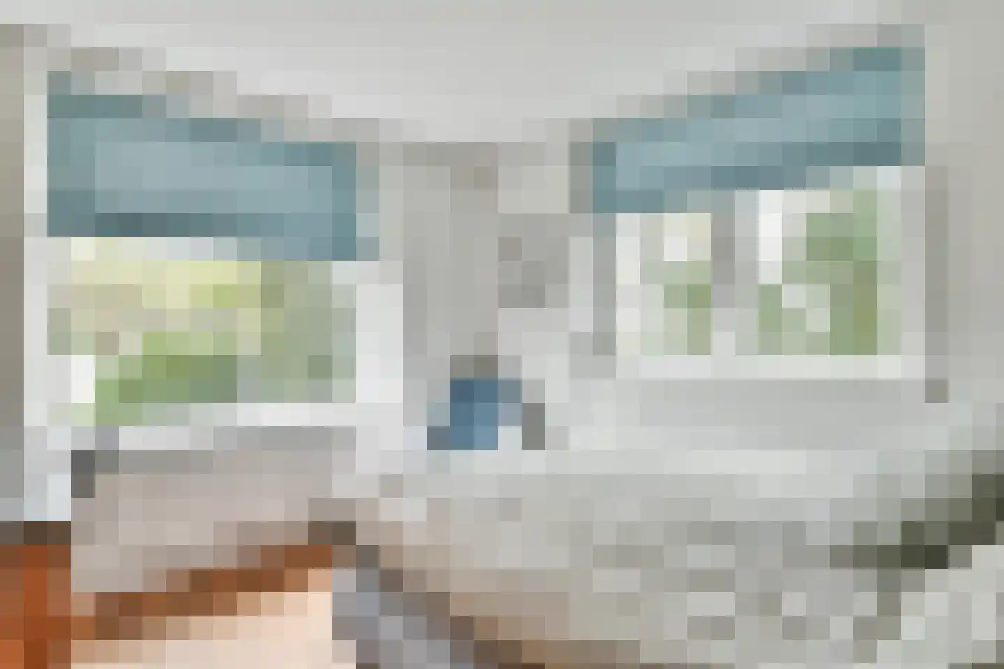Schapendrift 40 Laren thumbnail 26