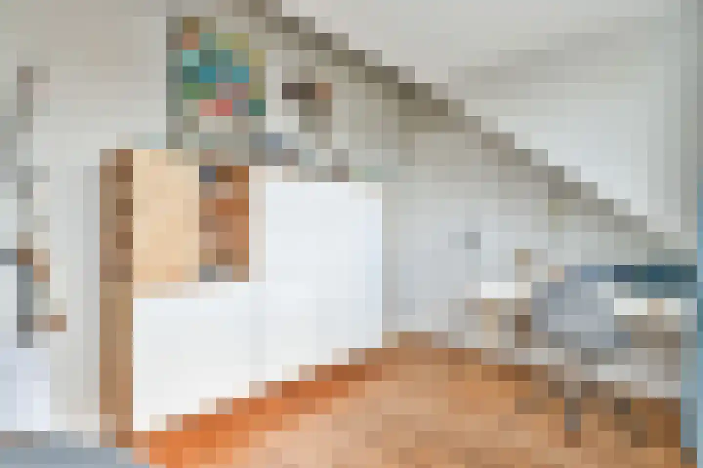 Schapendrift 40 Laren thumbnail 36